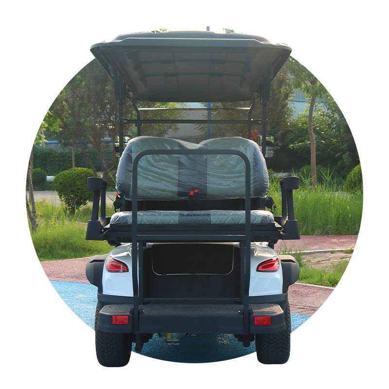 Hot Sale Off Road Street Legal Golf Cart With Curtis Controller With KDS Motor for Family Tour