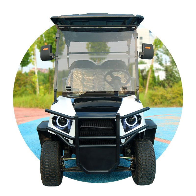 Hot Sale Off Road Street Legal Golf Cart With Curtis Controller With KDS Motor for Family Tour