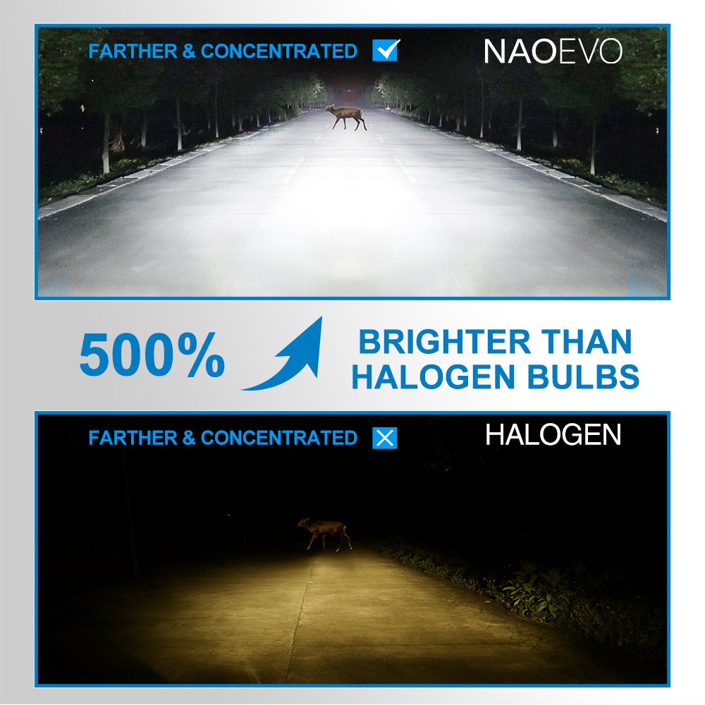 Super Bright Car Light Bulb H11 H1 H15 Headlamp Accessories Canbus Focos Luces 12V 360 Automotive Kit H7 Headlight Auto Led H4