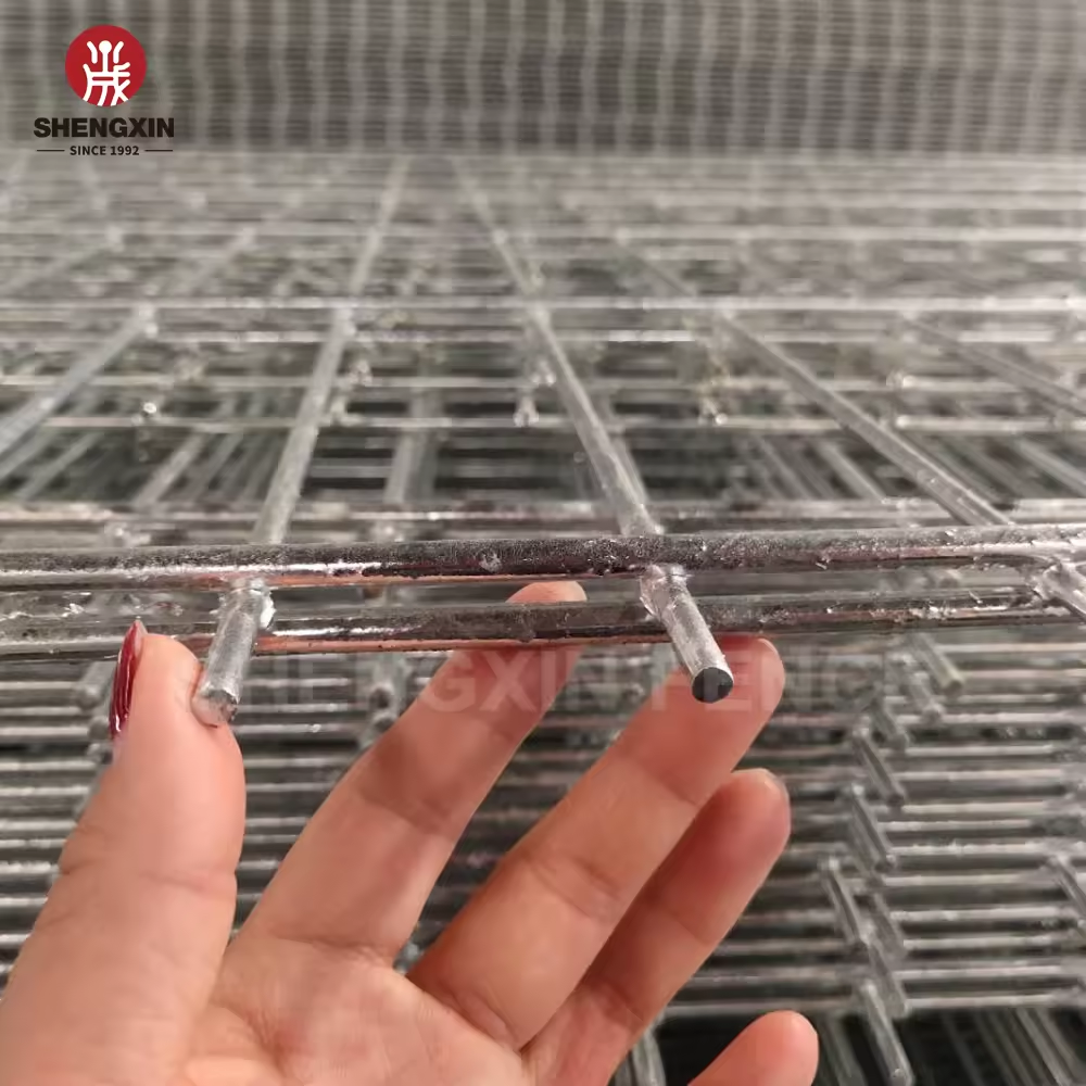 High Quality Double Wire Fence Double Wire Mesh Fence 656/868 Welded Wire Mesh Fence for Sale