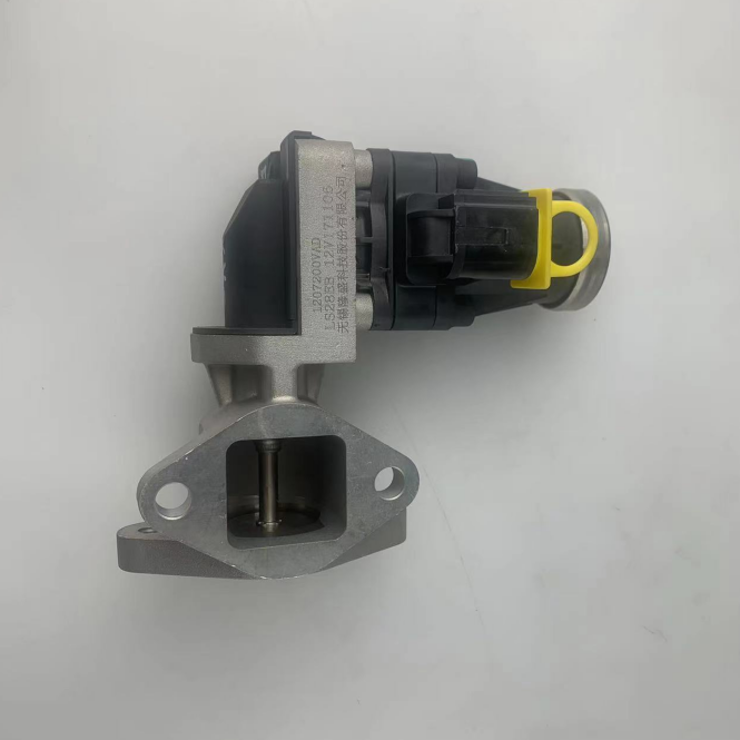 1207200VAD Egr Valve for Diesel Engine Exhaust Gas Recirculation Valve Egr Original Genuine