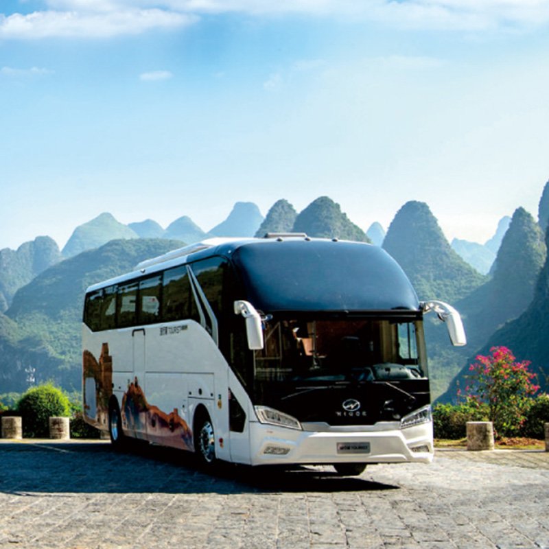 Used Luxury Tour Bus 55 Seaters Diesel LHD coach Bus