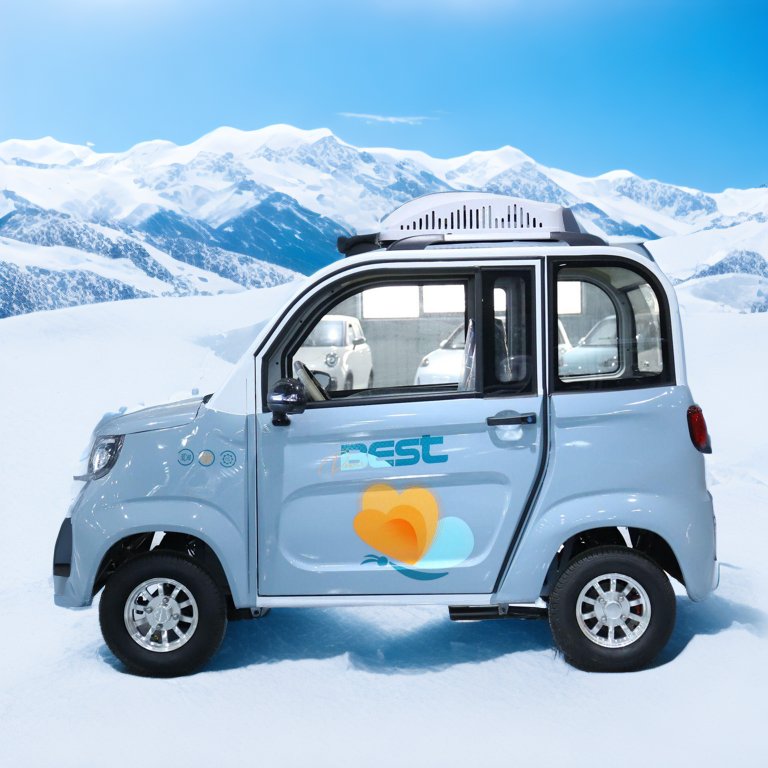 Cheap Adult New Electric Four-wheeler New Energy Household Pure Electric Fully Enclosed Low-speed Rickshaw Mini Car Bus Truck