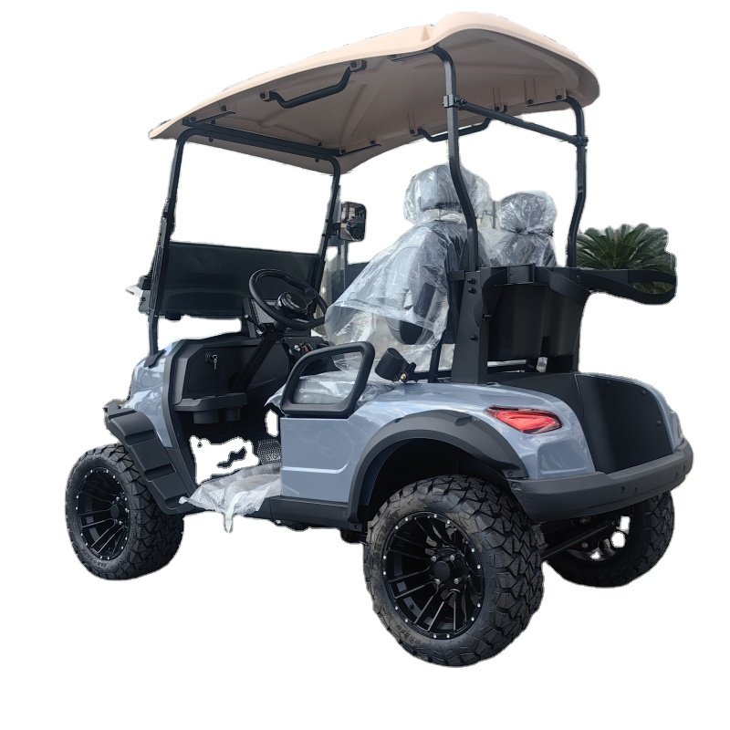 2023 Domestic New 72V 5KW Two-seat Sightseeing Bus New Energy Electric Golf Cart Hunting Car