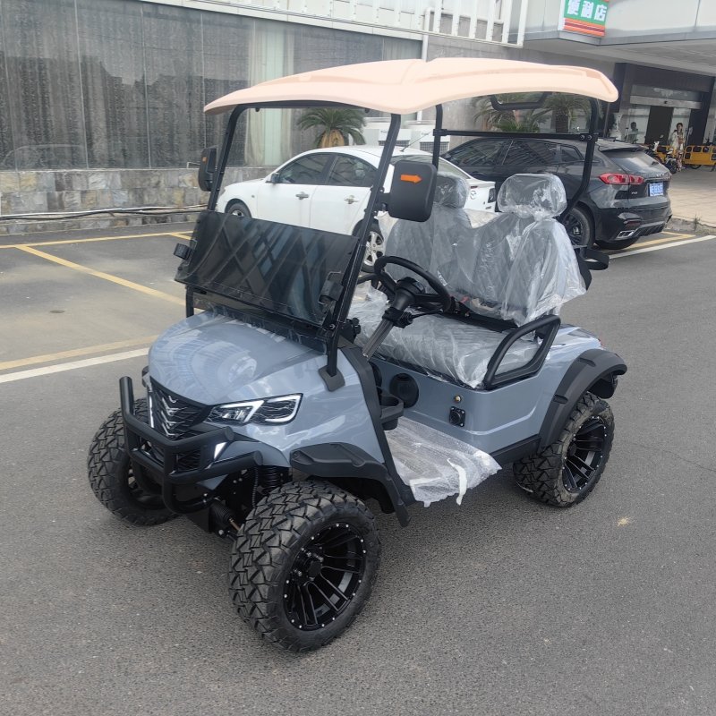 2023 Domestic New 72V 5KW Two-seat Sightseeing Bus New Energy Electric Golf Cart Hunting Car