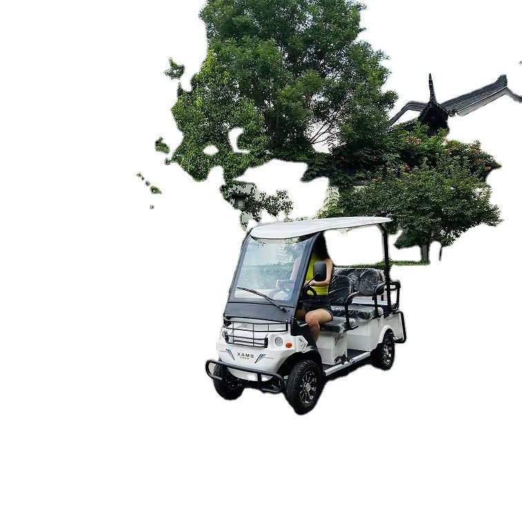 6 Seats Hot Sale 3 Wheel Electric Car 4 Carry Passengers Adult Electric Vehicle New Energy Car Sightseeing Bus