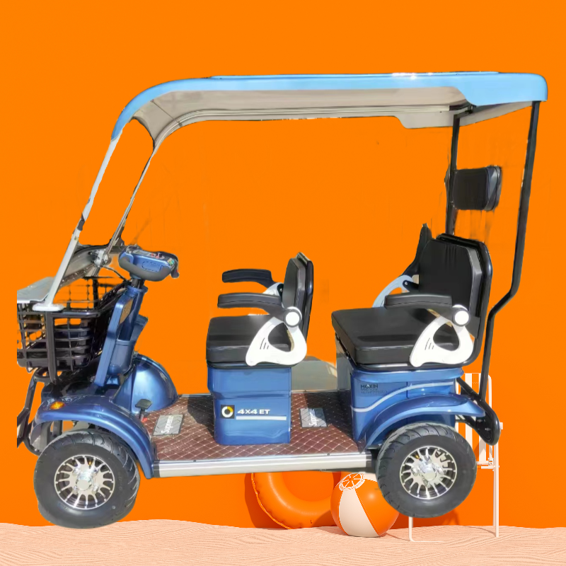 Four-Wheeler Multi-Person Tourist Car Steel Structure Large Storage Space Adult Shed Rear Wheel Hub Motor Integrated Battery
