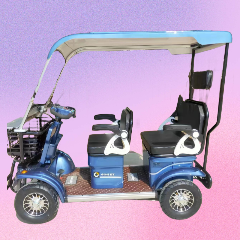 Four-Wheeler Multi-Person Tourist Car Steel Structure Large Storage Space Adult Shed Rear Wheel Hub Motor Integrated Battery