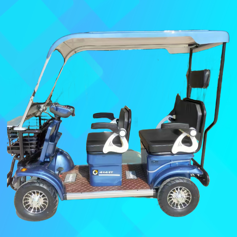 Four-Wheeler Multi-Person Tourist Car Steel Structure Large Storage Space Adult Shed Rear Wheel Hub Motor Integrated Battery