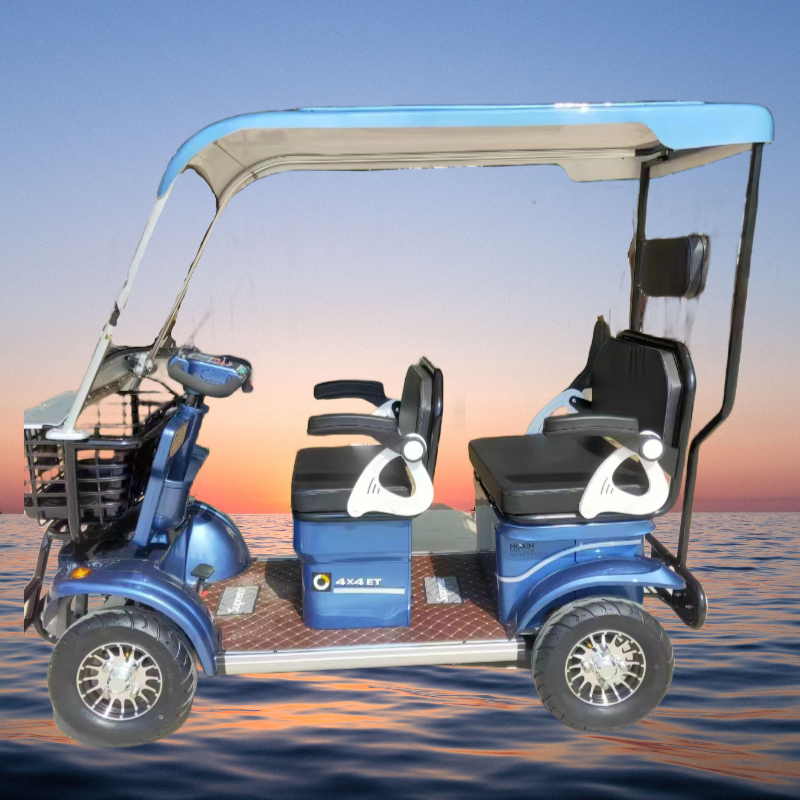Four-Wheeler Multi-Person Tourist Car Steel Structure Large Storage Space Adult Shed Rear Wheel Hub Motor Integrated Battery