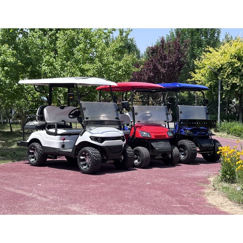 Best Price 6-Seater Electric Lithium Golf Cart 4-Wheel Buggy with Gasoline Petrol Engine