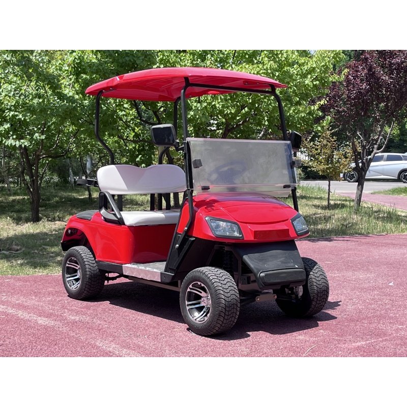 Best Price 6-Seater Electric Lithium Golf Cart 4-Wheel Buggy with Gasoline Petrol Engine