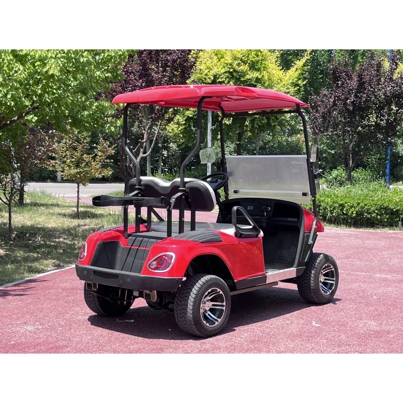 Best Price 6-Seater Electric Lithium Golf Cart 4-Wheel Buggy with Gasoline Petrol Engine