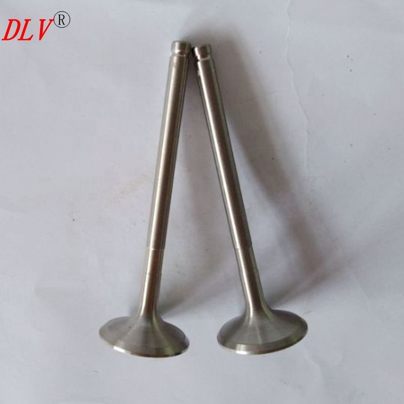 F1N F2N F3N Engine Parts Engine Valve 7701463081 7701463082 Used for renault Trafic Box 1.7