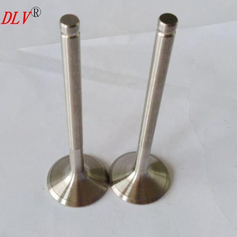 F1N F2N F3N Engine Parts Engine Valve 7701463081 7701463082 Used for renault Trafic Box 1.7