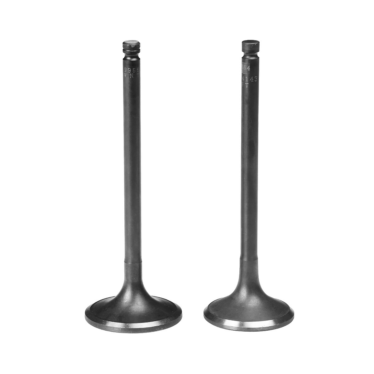 High Quality Bus Engine Parts Customized Services Intake and Exhaust Valves for Cummins NT855 Engines