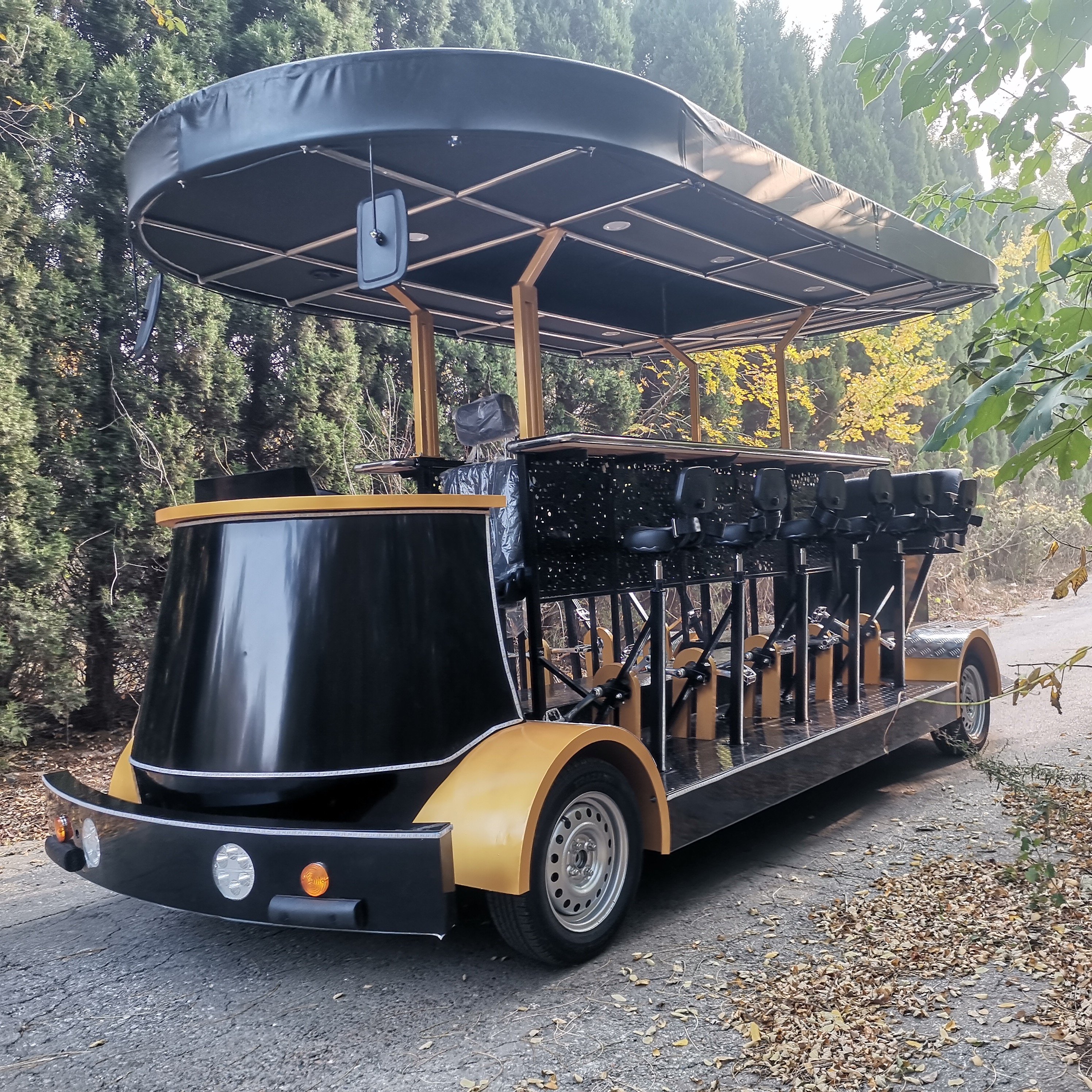Customized 4-Wheel Electric Beer Bicycle Tandem Pub Bike with Mobile Bar and Battery for Transporting Beer Bike