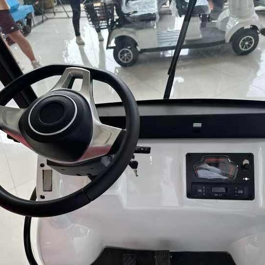 New Adult Electric Golf Cart Electric Sightseeing Bus Four Wheel Scooter