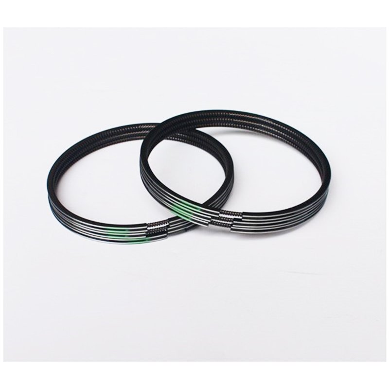 Brand New diesel Engine Parts Piston Ring 3921919 3928294 for Cummins 6CT 6LTAA8.9 ISLE8.9 Engine