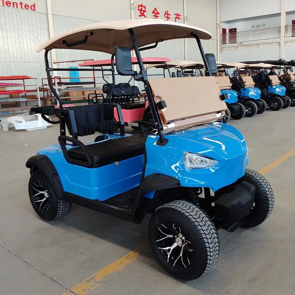 Street Legal 2-Seater Electric Golf Buggy Chinese Factory's Adult-Sized Sightseeing Bus and Club Cart for Hunting
