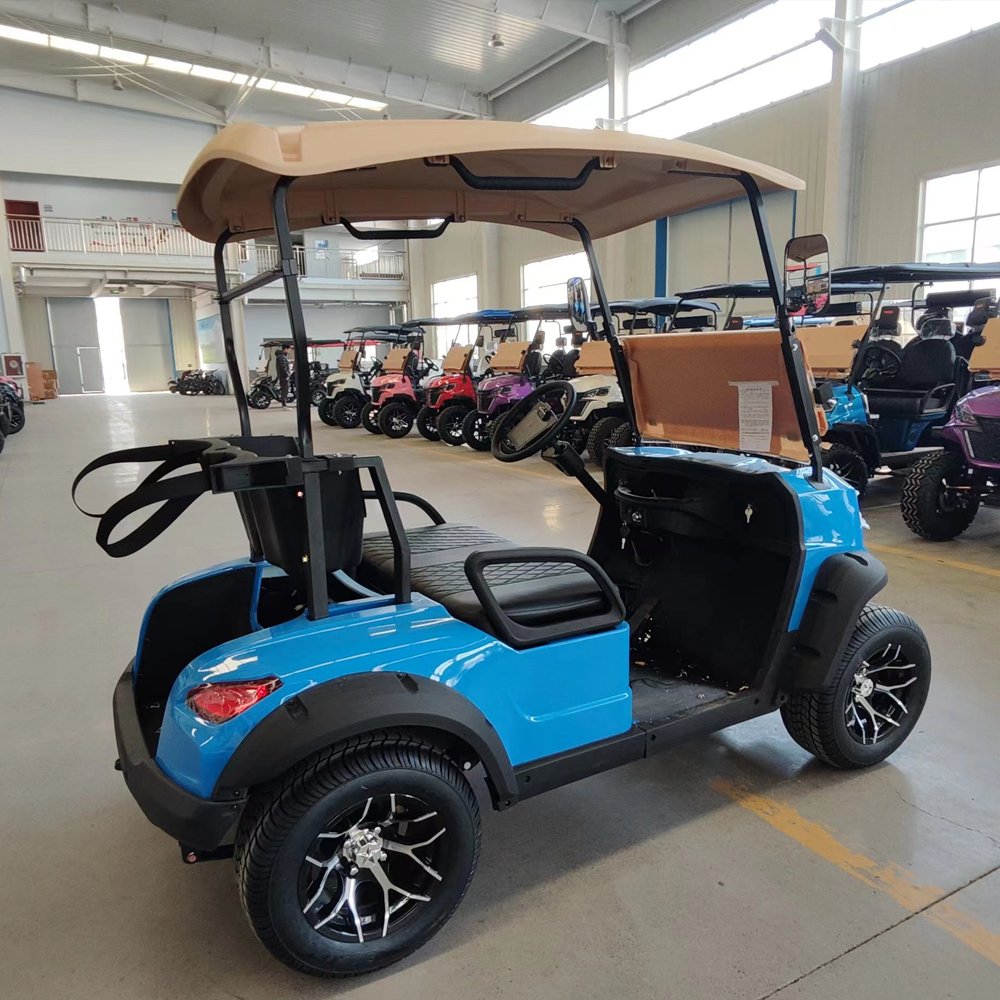 Street Legal 2-Seater Electric Golf Buggy Chinese Factory's Adult-Sized Sightseeing Bus and Club Cart for Hunting