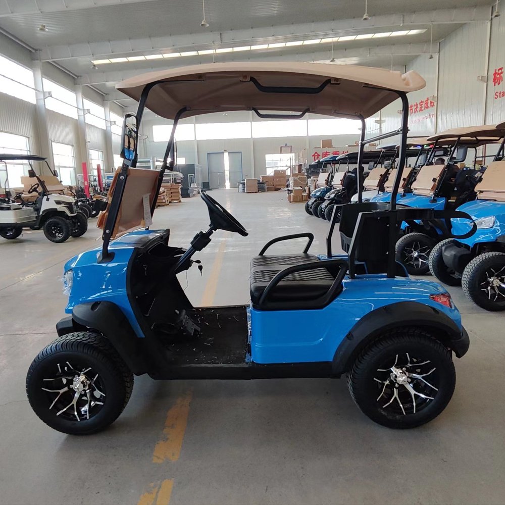 Street Legal 2-Seater Electric Golf Buggy Chinese Factory's Adult-Sized Sightseeing Bus and Club Cart for Hunting