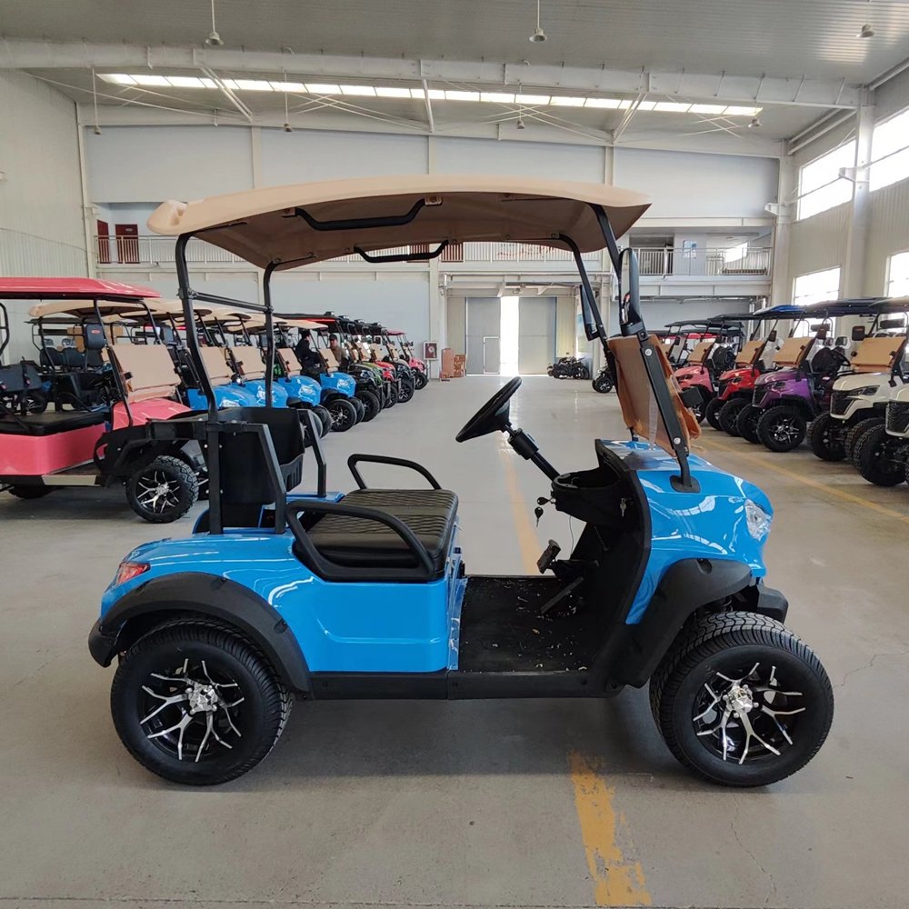 Street Legal 2-Seater Electric Golf Buggy Chinese Factory's Adult-Sized Sightseeing Bus and Club Cart for Hunting