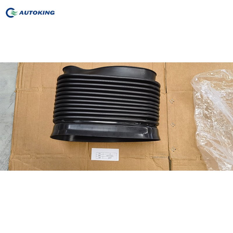 2025 New Car Parts Factory Direct Sale Wg9525195060 Air Filter Dump Tipper Car Parts Howo Nx380 Truck Accessories