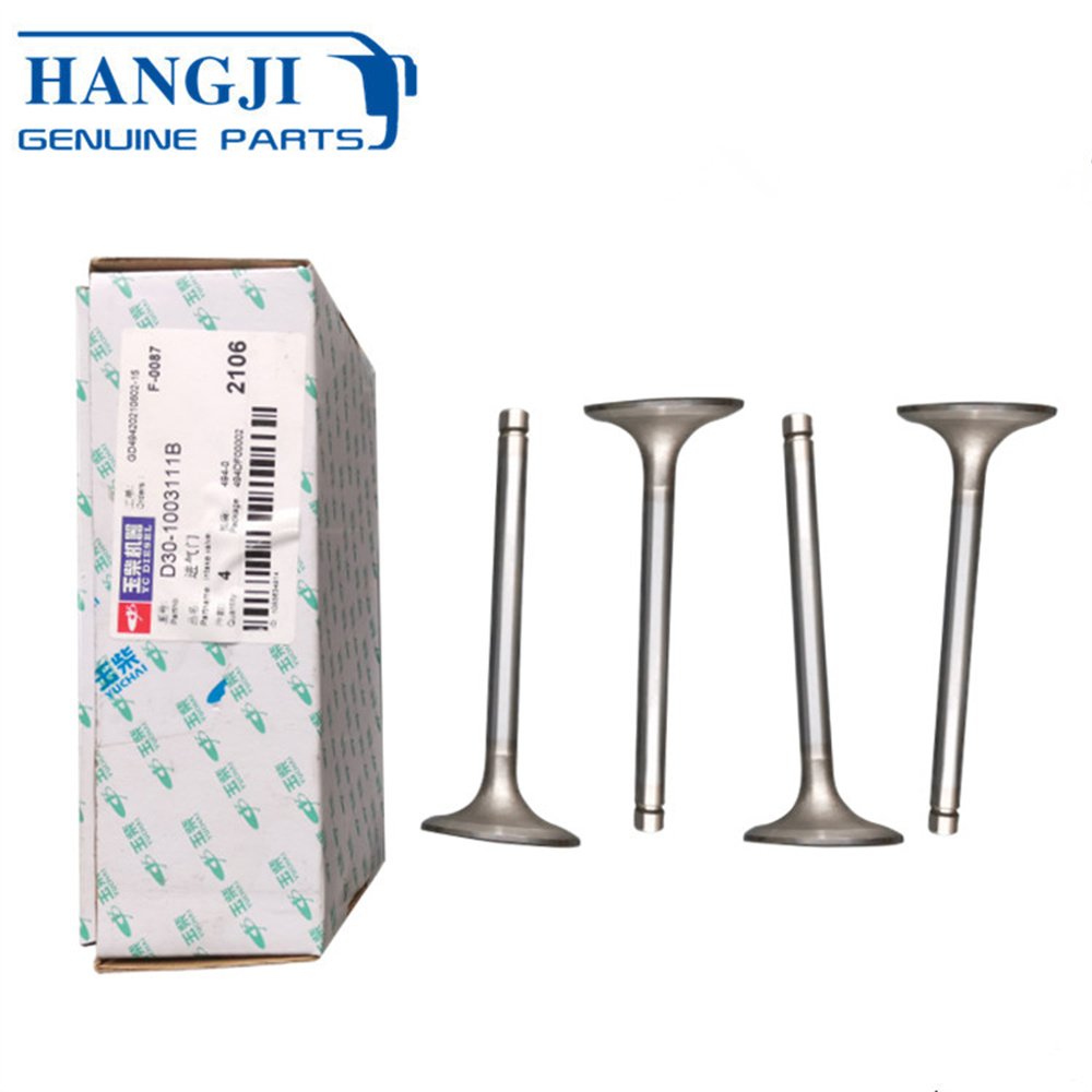 Factory Wholesale Sunlong Ankai Bus Spare Parts System Intake Valve D30-1003111B Engine Intake and Exhaust Valves