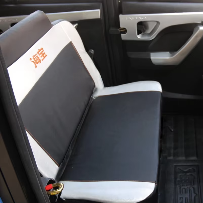 Chinese Super Supplier Has Newly Designed a Luxury Compact Electric Three-wheel Pickup