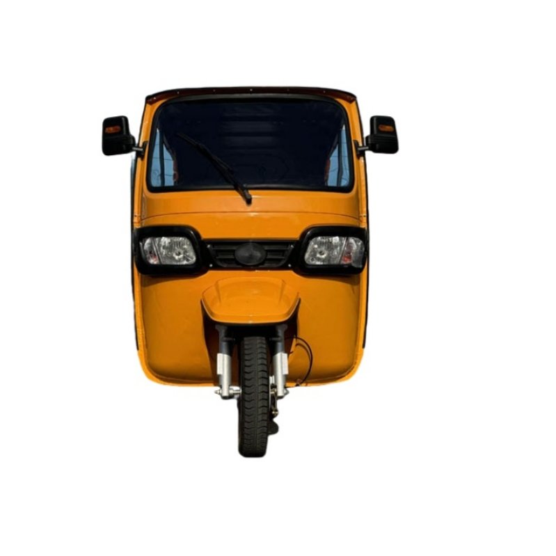 Large Space Super Long Accommodates 6 People Trike Tuk Tuk Electric Car Adult Auto E Rickshaw