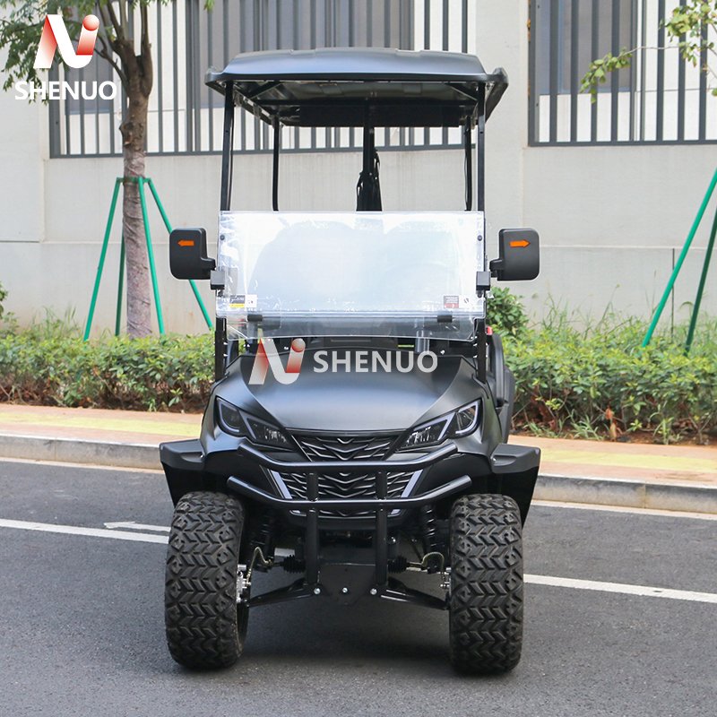 2-4-6 Passenger Street Legal Electric Golf Cart with 48v Battery Lithium Sightseeing Bus Car