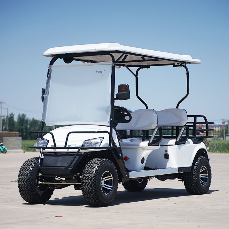 Mini New Product Battery Electric Sightseeing Bus Golf 2 Seater Electric Golf Cart