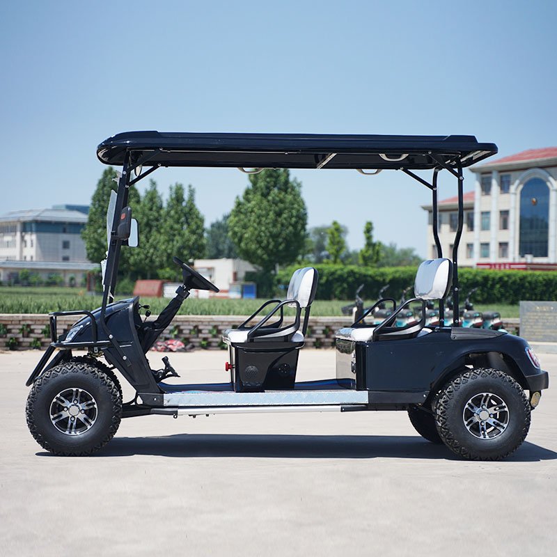 Mini New Product Battery Electric Sightseeing Bus Golf 2 Seater Electric Golf Cart
