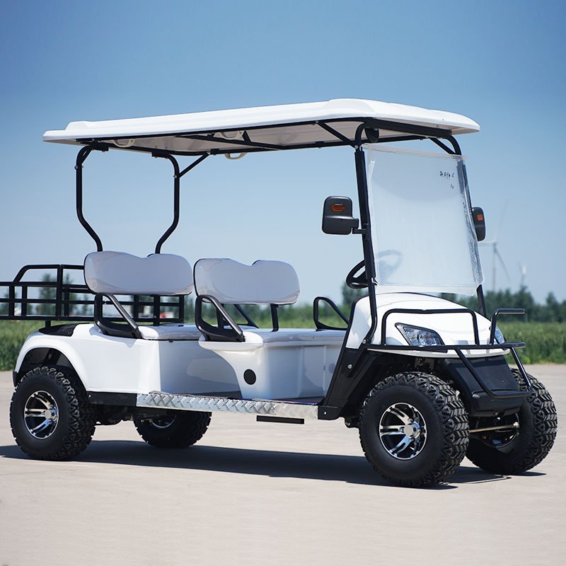 Mini New Product Battery Electric Sightseeing Bus Golf 2 Seater Electric Golf Cart