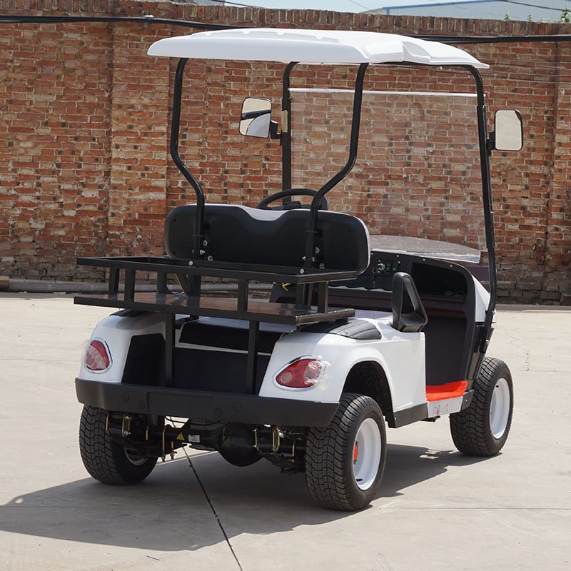 Mini New Product Battery Electric Sightseeing Bus Golf 2 Seater Electric Golf Cart