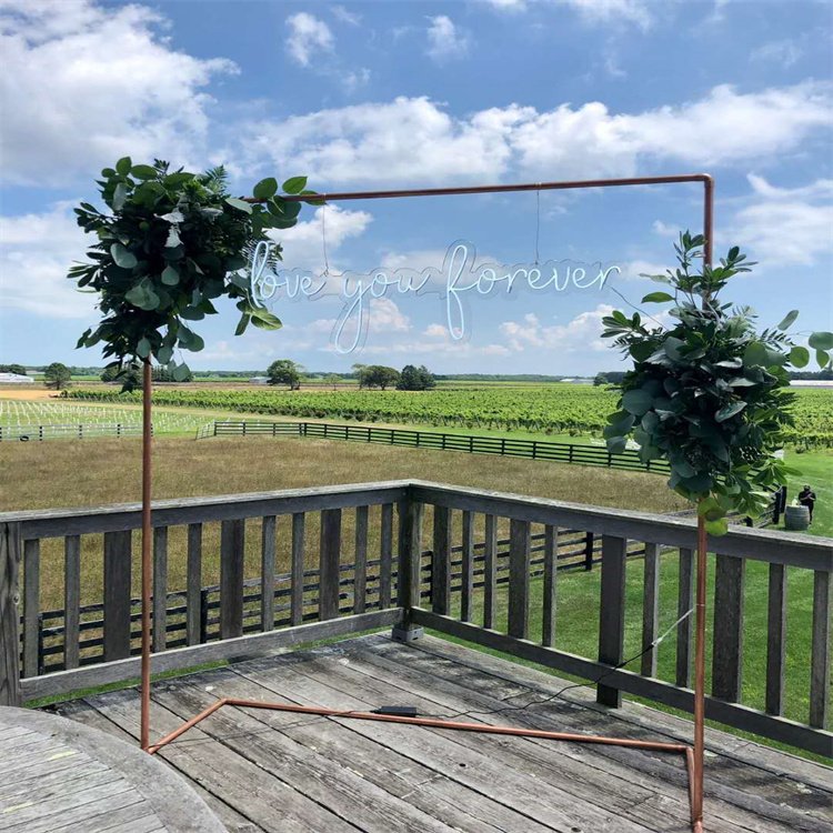 Outdoor Led Advertising Flex Strip Custom Acrylic Neon Lights Signs Lighting Prices for Wedding Bar Party Decoration