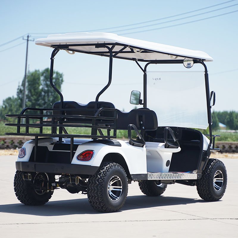 Mini New Design Electric Sightseeing Bus Golf 2 Seater Electric Golf Cart