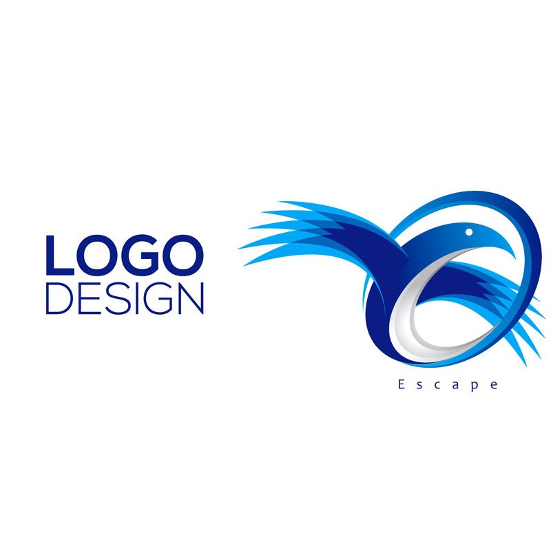Professional Customized Logo Design Service Graphic Vector Conversion Service Cheaper Price