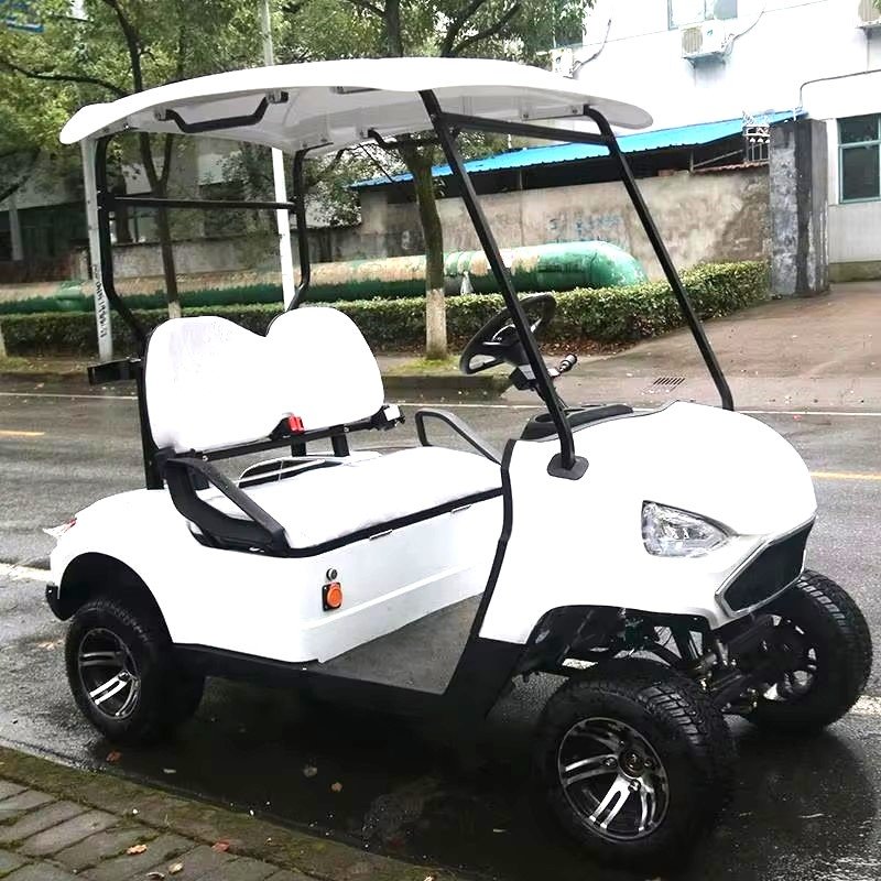Made in Chinese Electric 4 Wheel Drive Golf Cart 2 Seat Electric Mini Golf Cart for Club