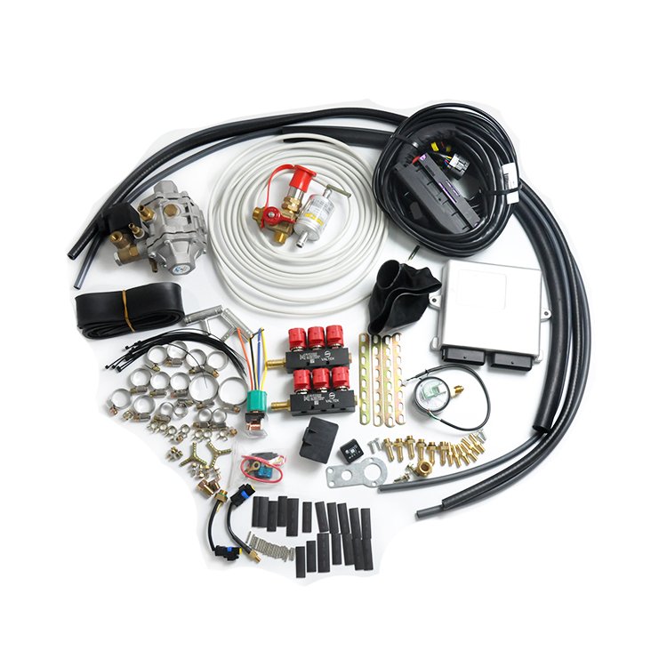 Gnc Gnv Atuo Parts Autogas Sequential Injection 6 Cyl Conversion Kit 5th Generation Fuel System for Automobile Bus Truck