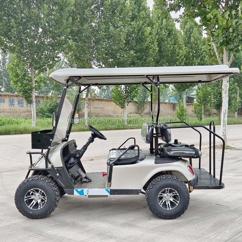 2024 Evolution Best Sale Icon Cheapest Advanced EV Electric Golf Cart for Sale With 48V Lithium Batteries