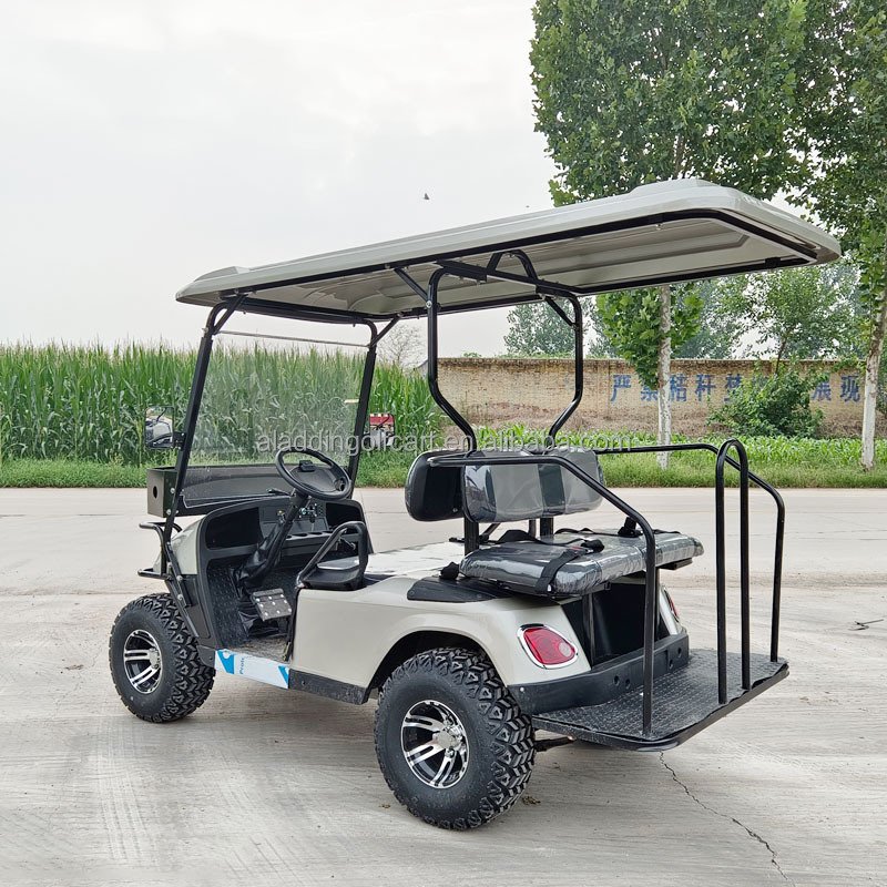 2024 Evolution Best Sale Icon Cheapest Advanced EV Electric Golf Cart for Sale With 48V Lithium Batteries