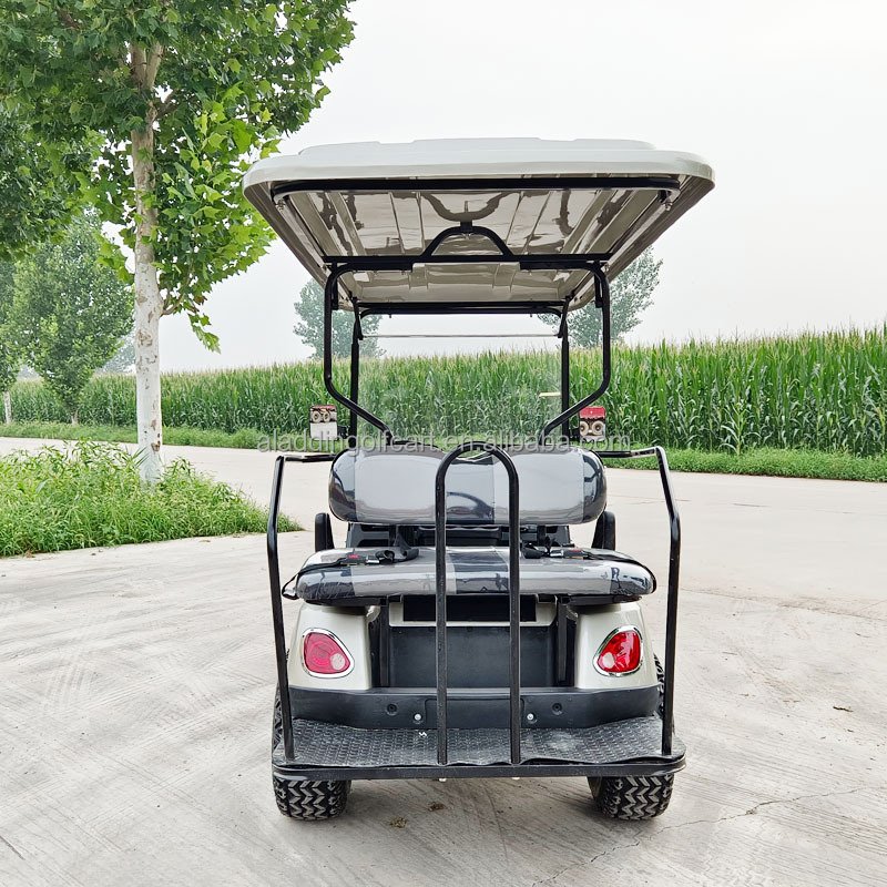 2024 Evolution Best Sale Icon Cheapest Advanced EV Electric Golf Cart for Sale With 48V Lithium Batteries