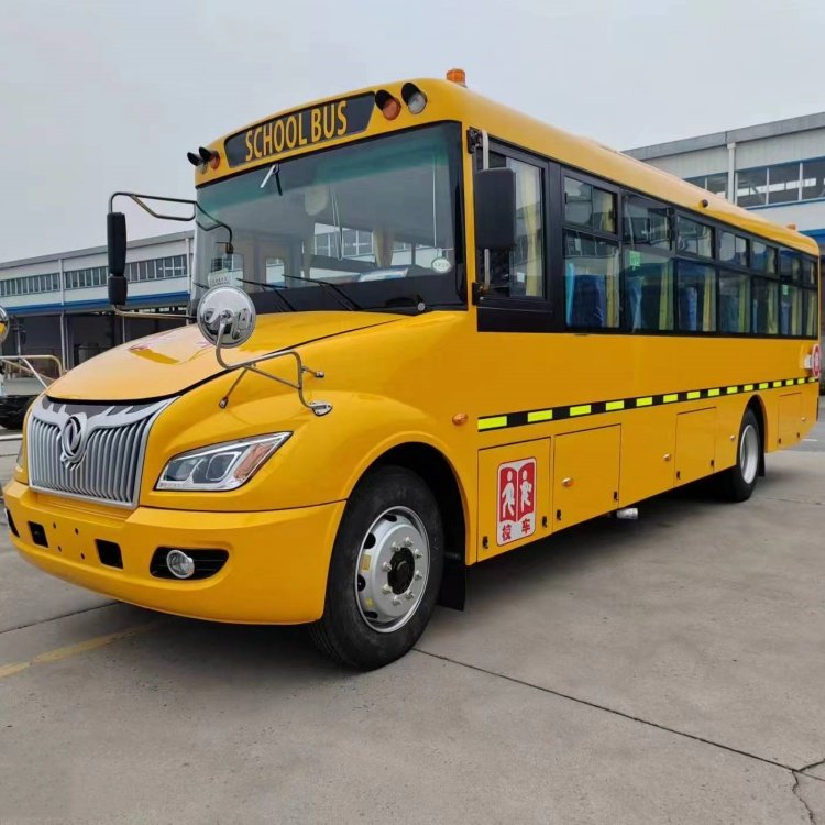Old School Buses 50seats School Bus Cummins Engine Dongfeng Mini Coach Airbag Chassis