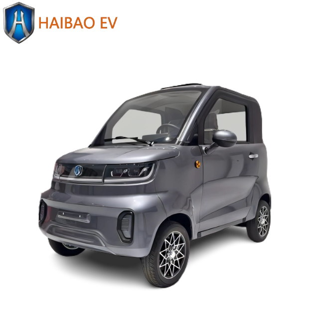2024 China Made New Cars New Energy Vehicles Mini Car Cars for Sale