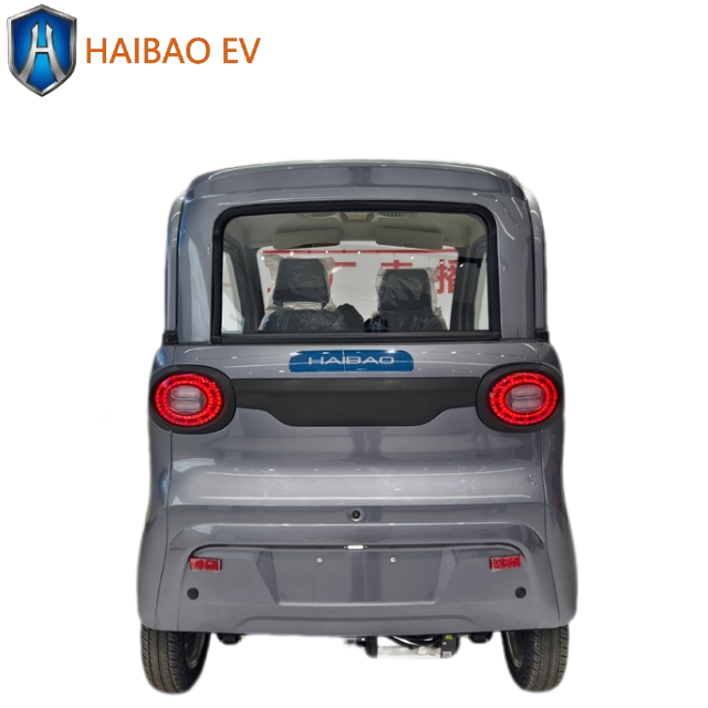 2024 China Made New Cars New Energy Vehicles Mini Car Cars for Sale