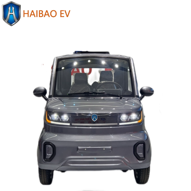 2024 China Made New Cars New Energy Vehicles Mini Car Cars for Sale