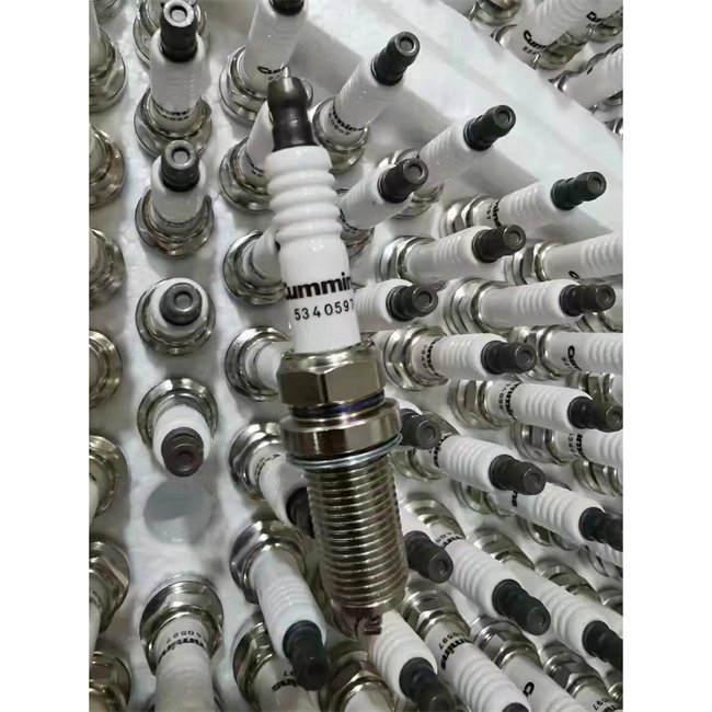 Original Spark Plug Used for Bus and Truck 5340597