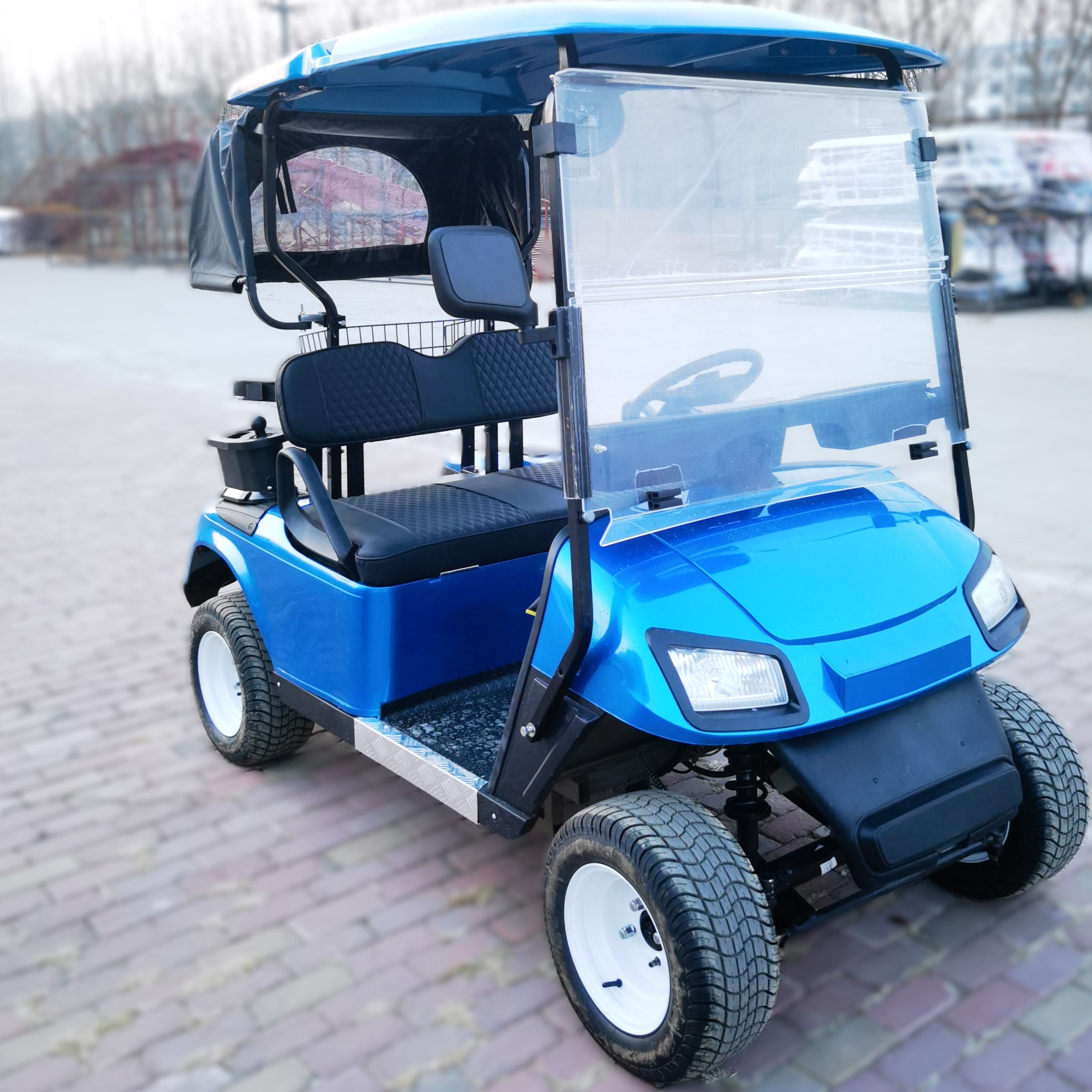 Tong Cai 2 Seater LSV 4 Person Electric Golf Cart With Lithium Battery Mobility Scooter Vehicles Carro Electrico Golf Cars